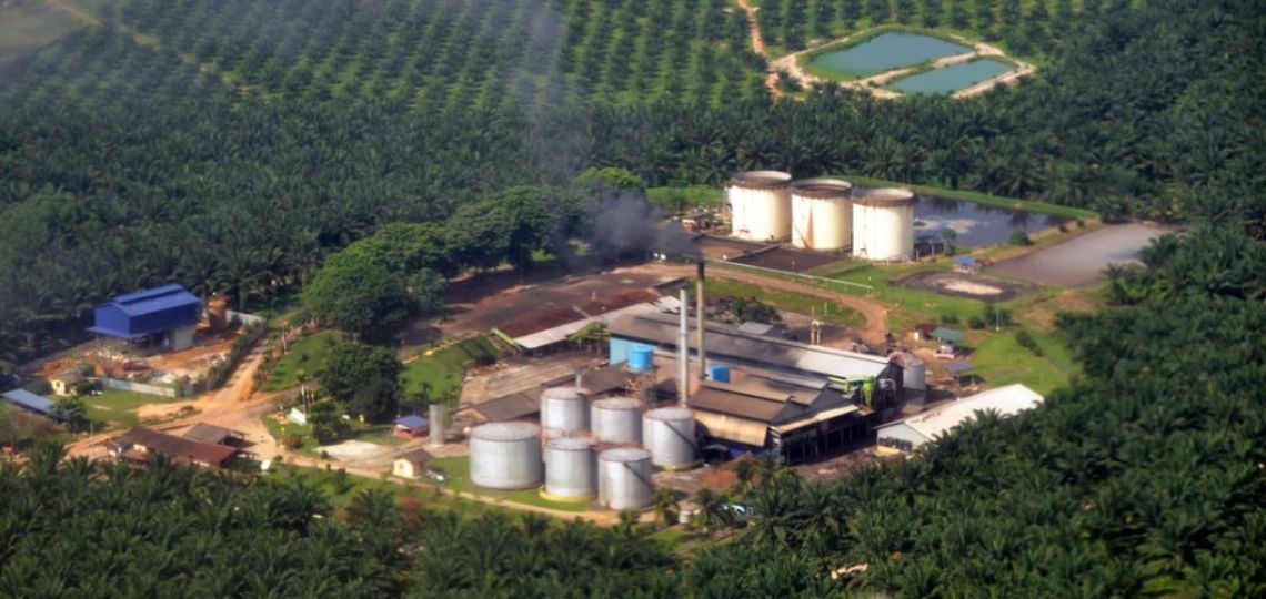 Biocarburant : l’OMC Arbitre le Conflit Malaisie-UE