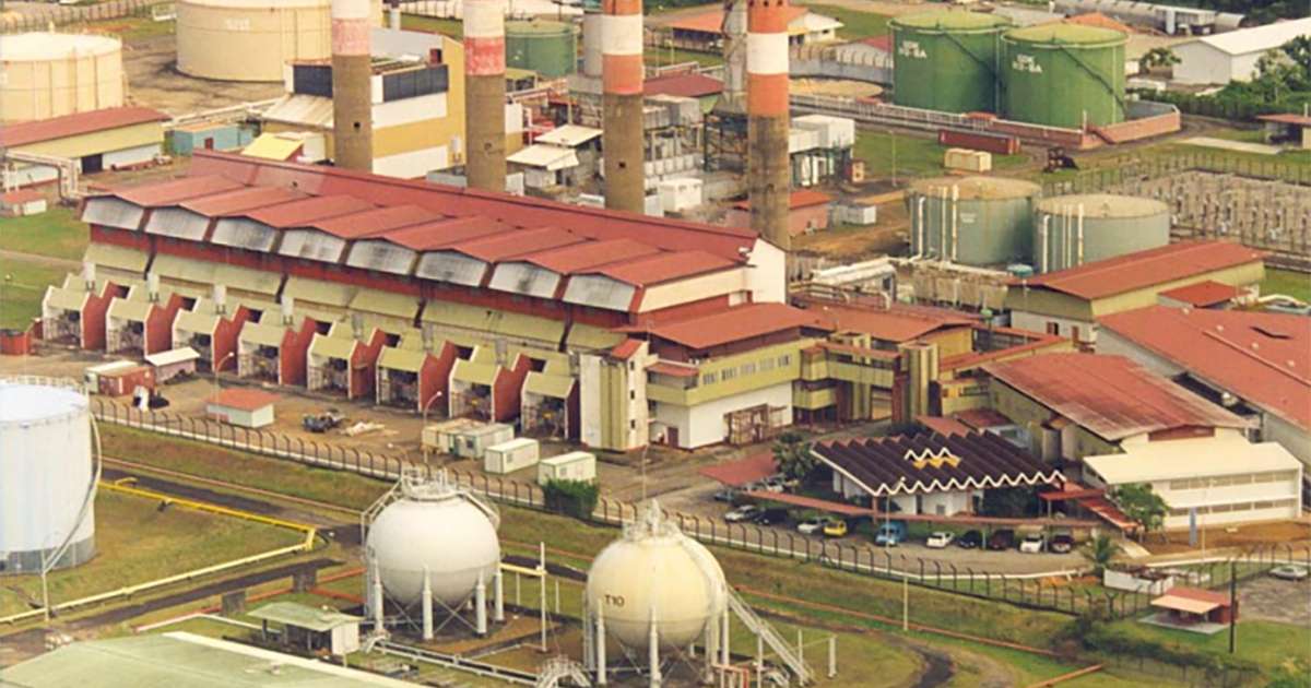 Biomasse: la Guyane vers une Alternative Verte