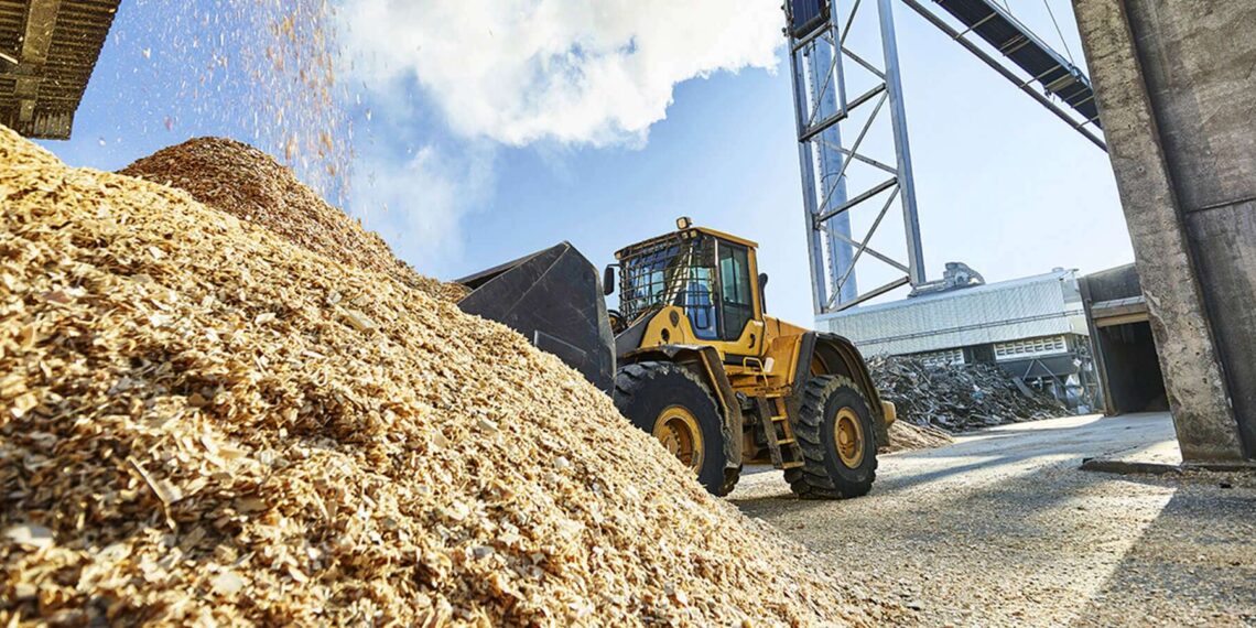 Marché Biomasse: Restriction Imminente de l’UE?