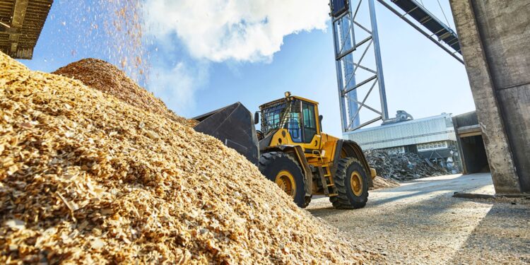 La Biomasse divise le Royaume-Uni