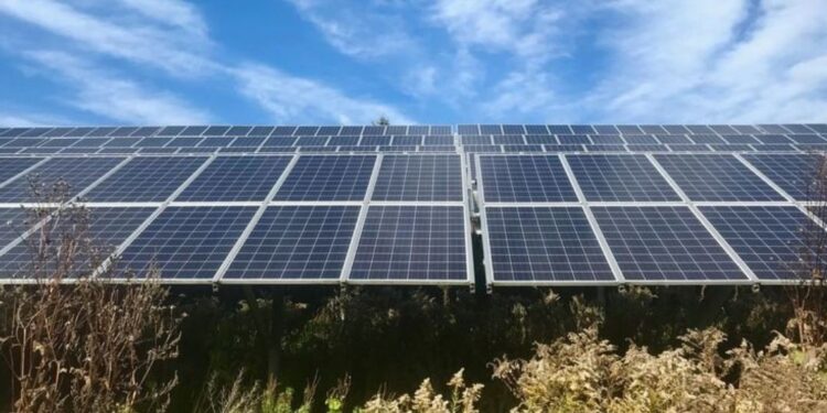 Greenbacker Déploie l’Agri-solaire