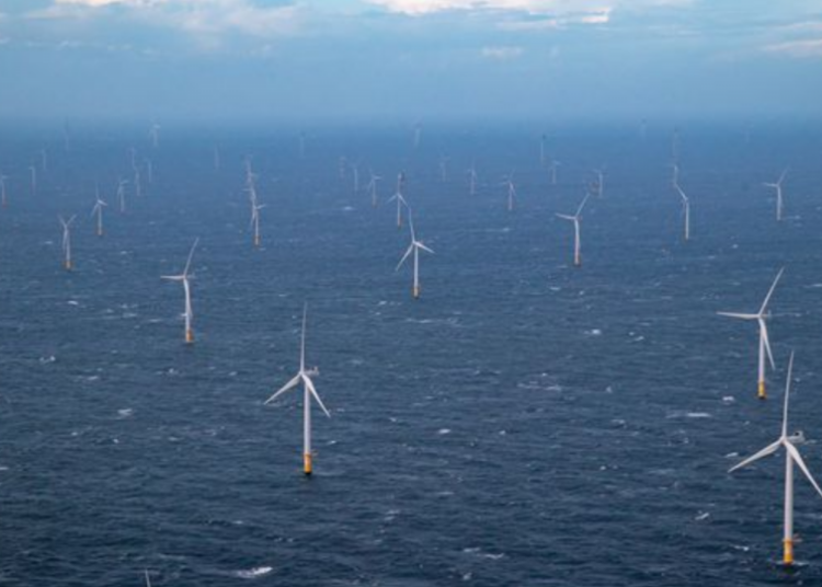 Local equity investment in the Yeu-Noirmoutier wind farm