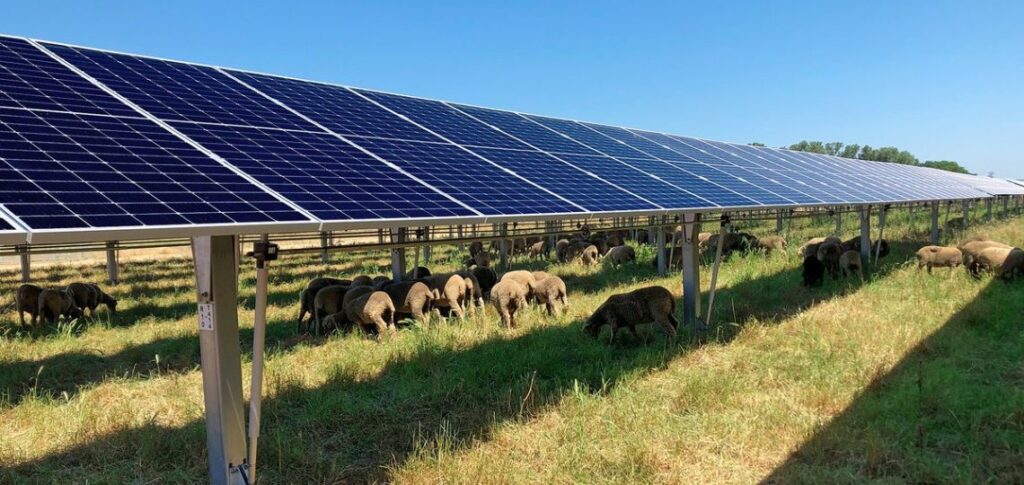 Fox Casting in Canada, Start of Construction