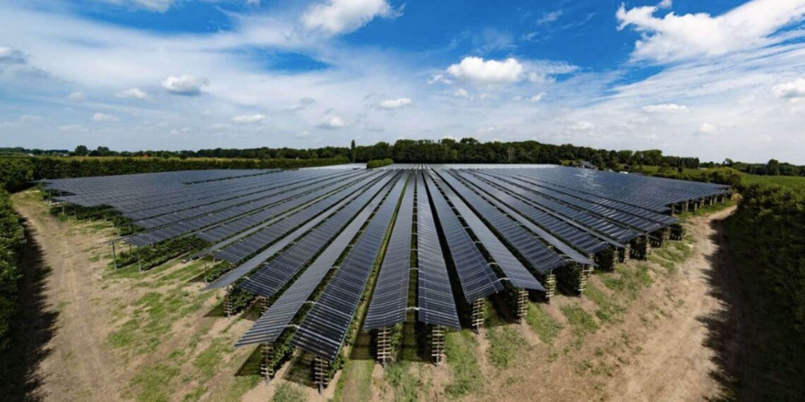 Neoen construit un Parc Agrisolaire en Occitanie