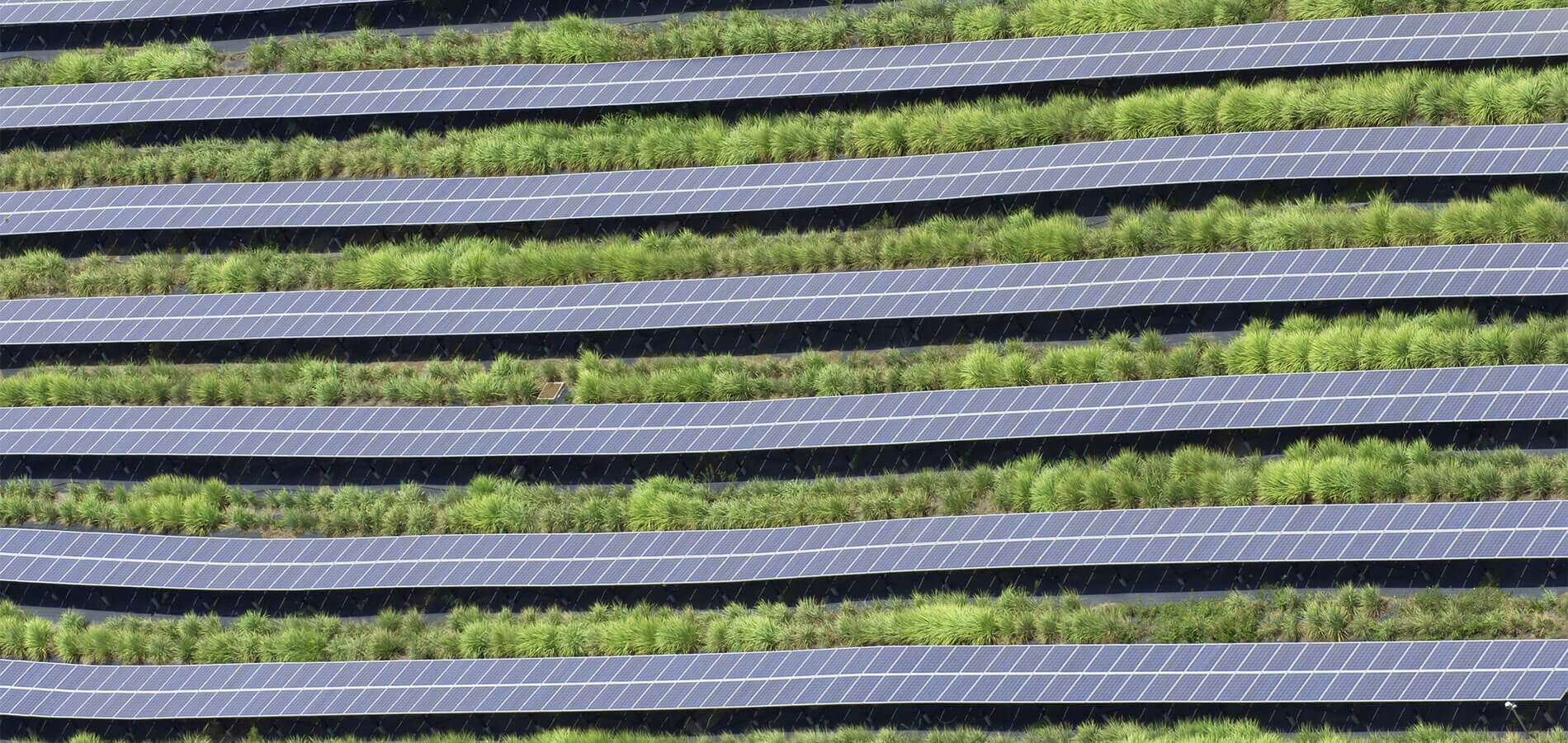 Akuo refinance son Portefeuille d’Actifs Phoenix