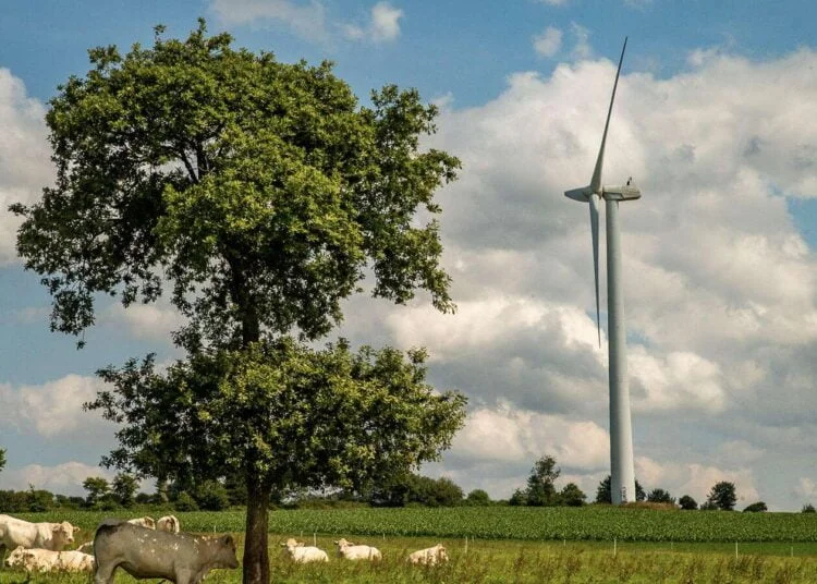 Boralex exploite son Parc Éolien de Bazougeais en France