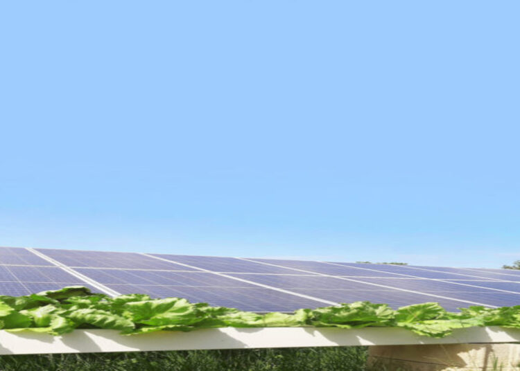 Q ENERGY France Développe l’hydrovoltaïque