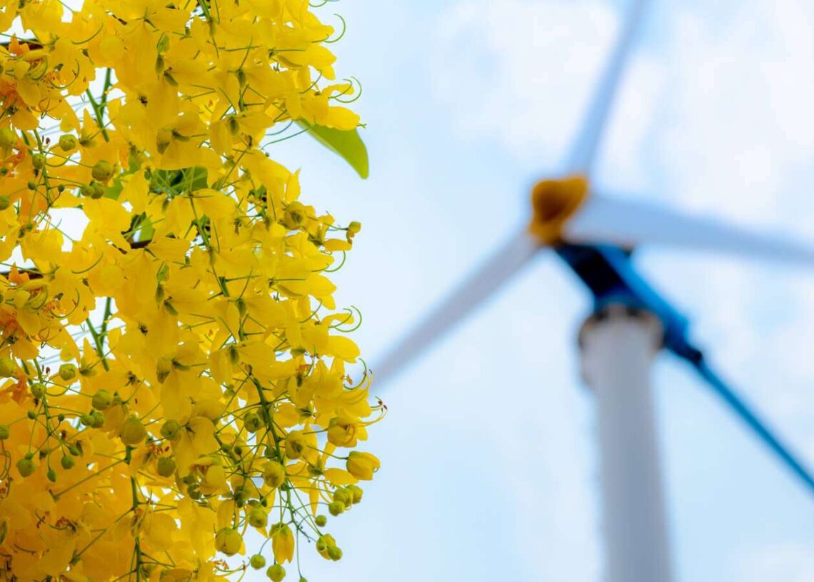 Des énergies renouvelables plus compétitives que le charbon d’ici 2030