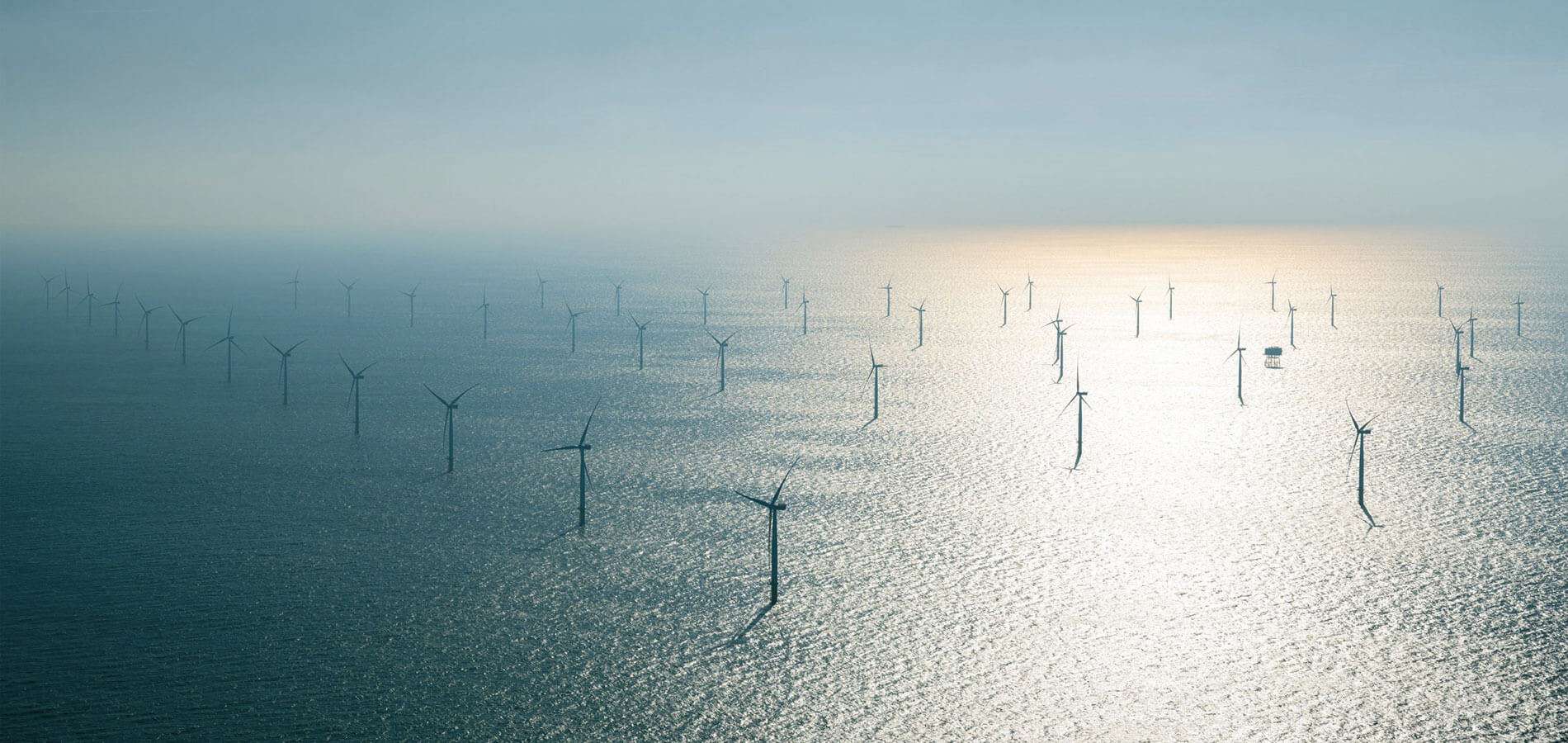 Wpd veut développer l’éolien offshore en Roumanie