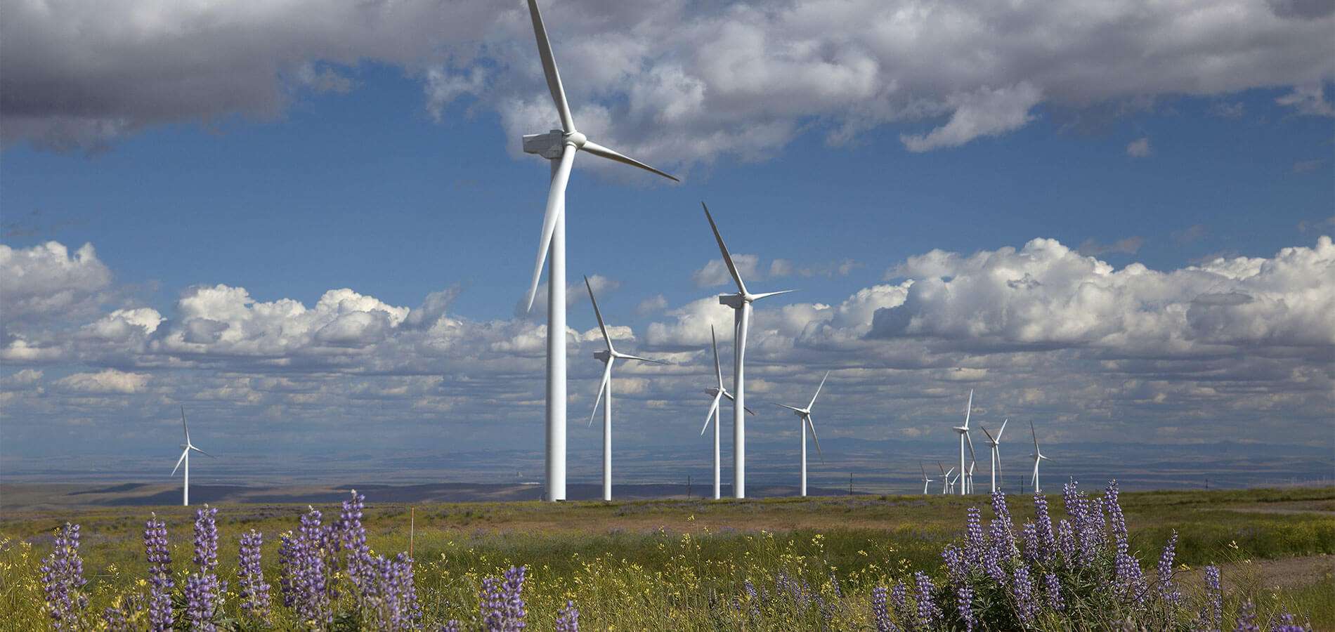 Nordex reçoit une commande polonaise de 63 MW