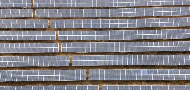 Centrale Solaire: Accord entre Iberdrola et Bayer