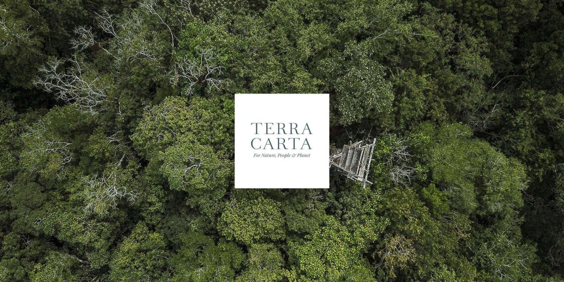 Terra Carta: les Grandes Banques Forment la FSTF