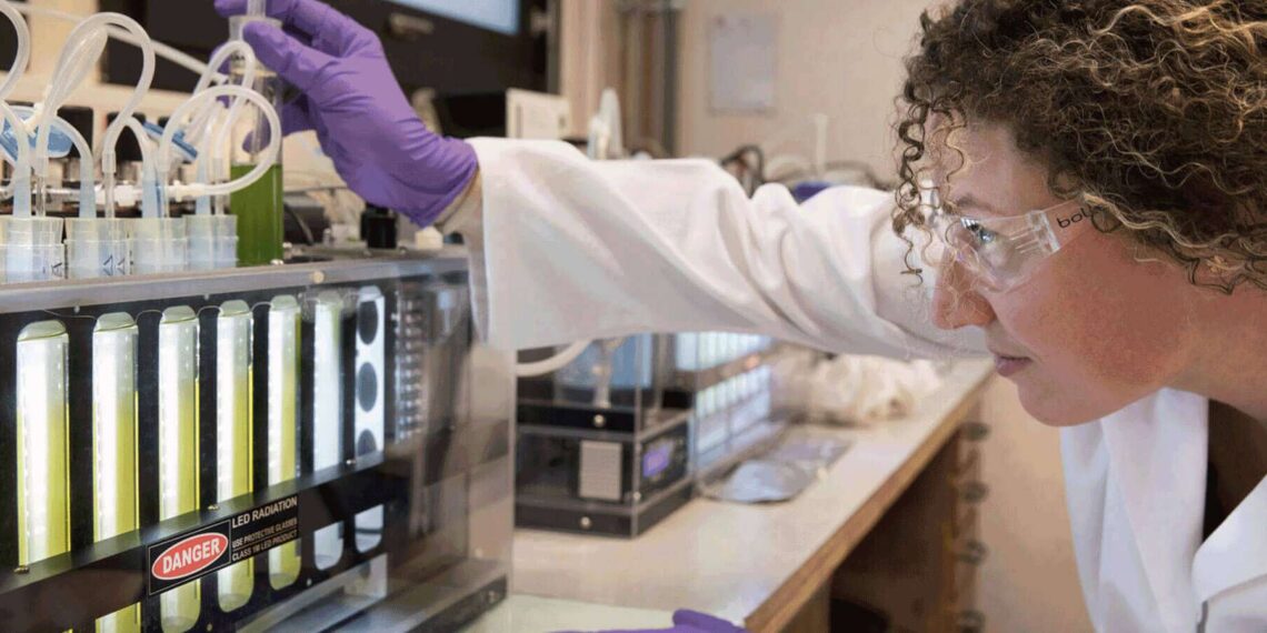 TotalEnergies et Veolia s’allient pour le Biocarburants