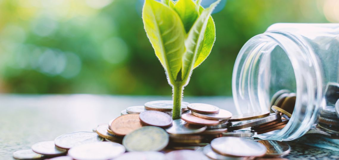 Epargne des français : des pistes pour financer la transition énergétique