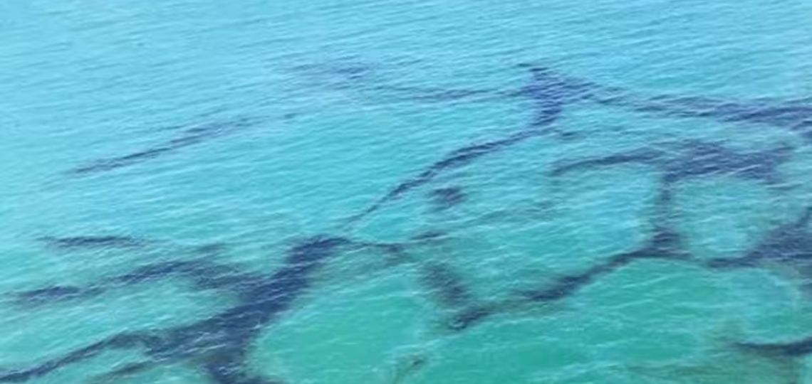 Ecuador: at least 1,200 barrels of crude oil spill on a Quito beach