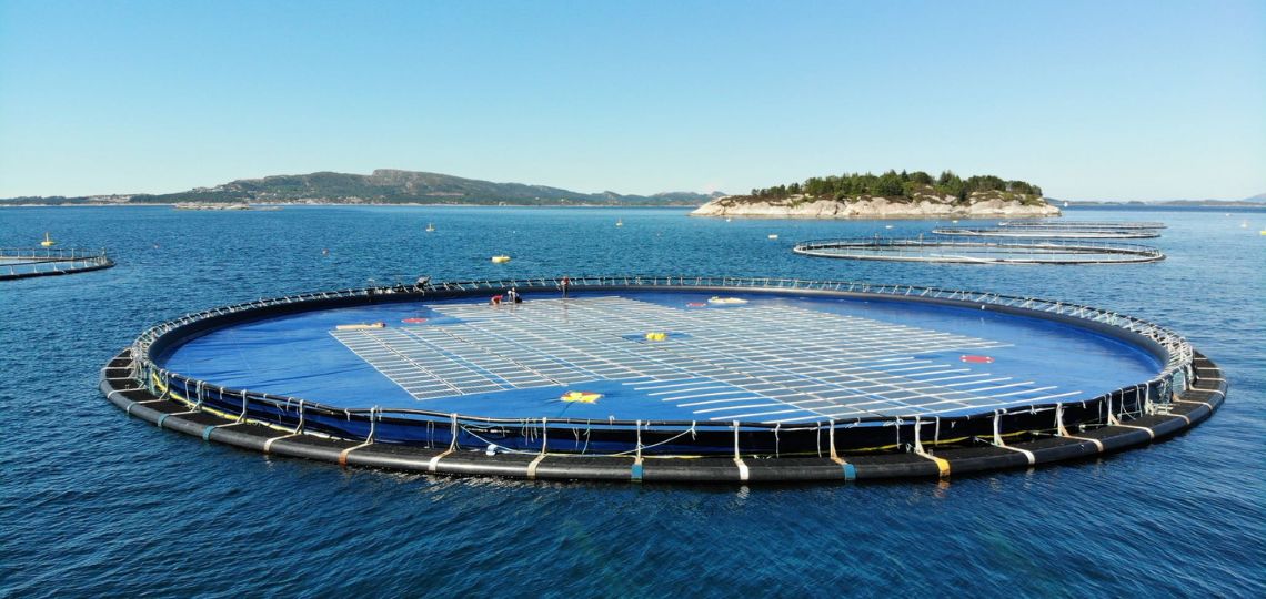 Hydro Rein et OVF s’allient pour l’énergie solaire en Norvège