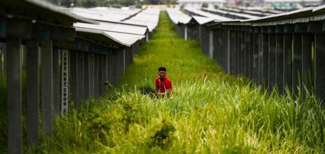 Crise Énergétique au Vietnam : Coût de 1,4 milliard de dollars pour l’Économie