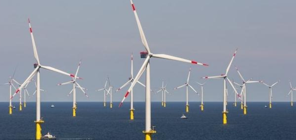 Octopus Energy: New conquest in Offshore Wind Energy
