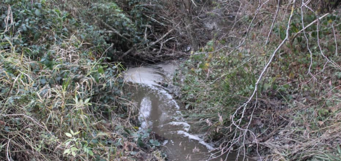 Liability and Penalties: The Engie Case and Pollution by Methanization