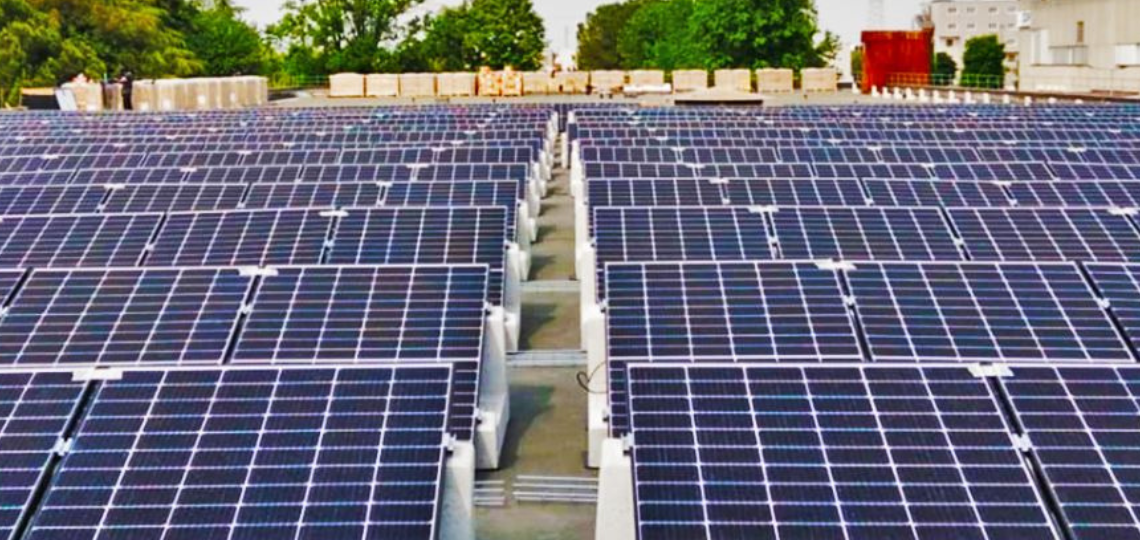 Grenergy Renews Energy: Massive Expansion and Projects for the Future