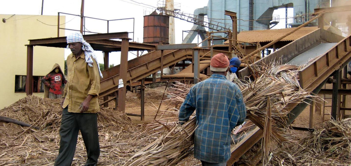 India: Biomass gains momentum in energy production