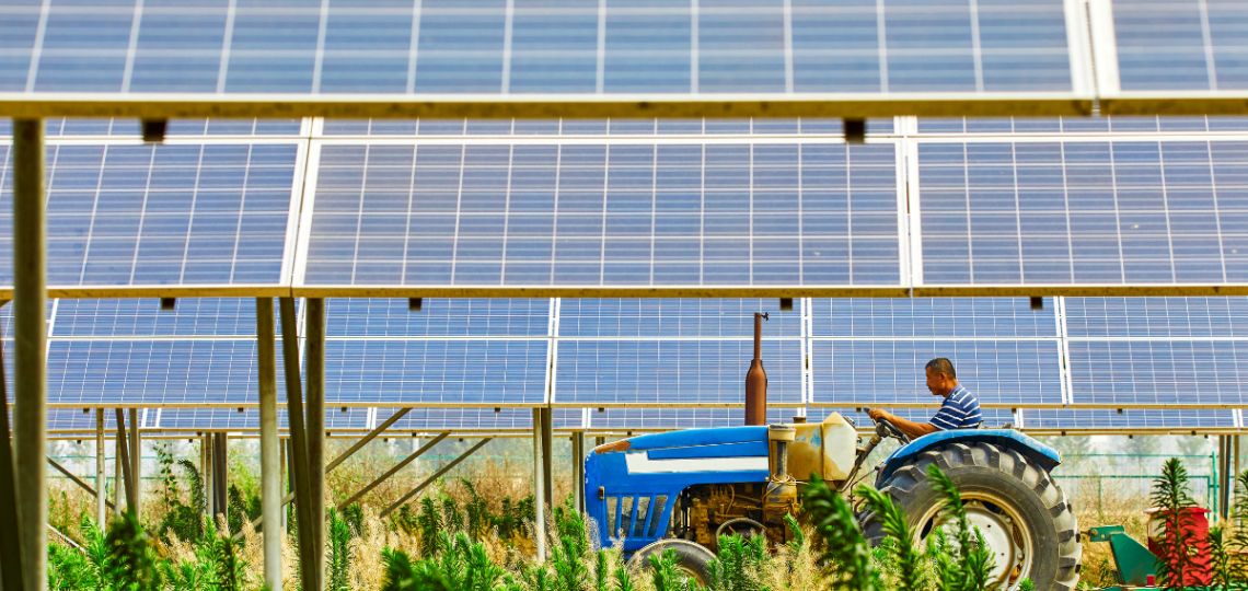 New decree for the development of agrivoltaics in France