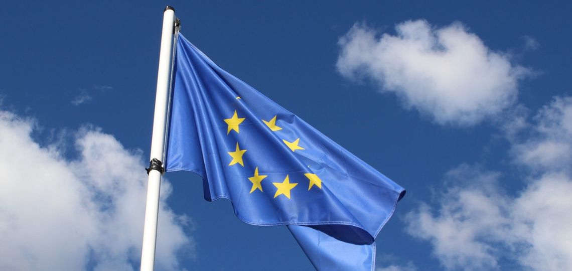 The European elections in the face of climate and geopolitical challenges