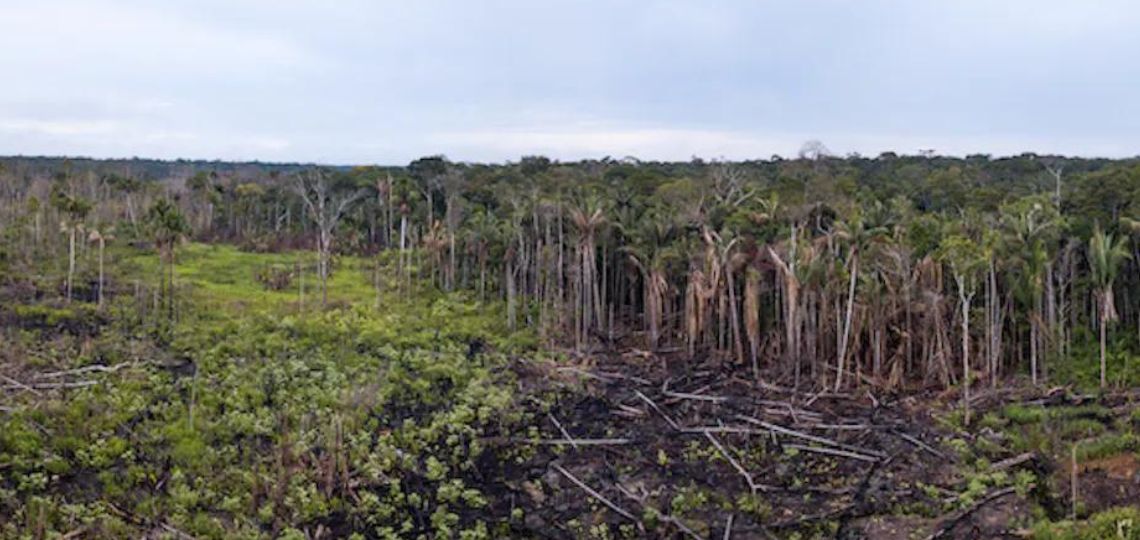 Petrobras: acceleration of oil exploration under new presidency