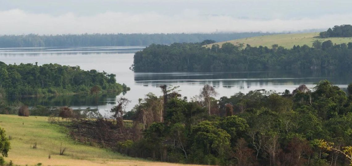 Congo: Menace sur le Parc National de Conkouati-Douli