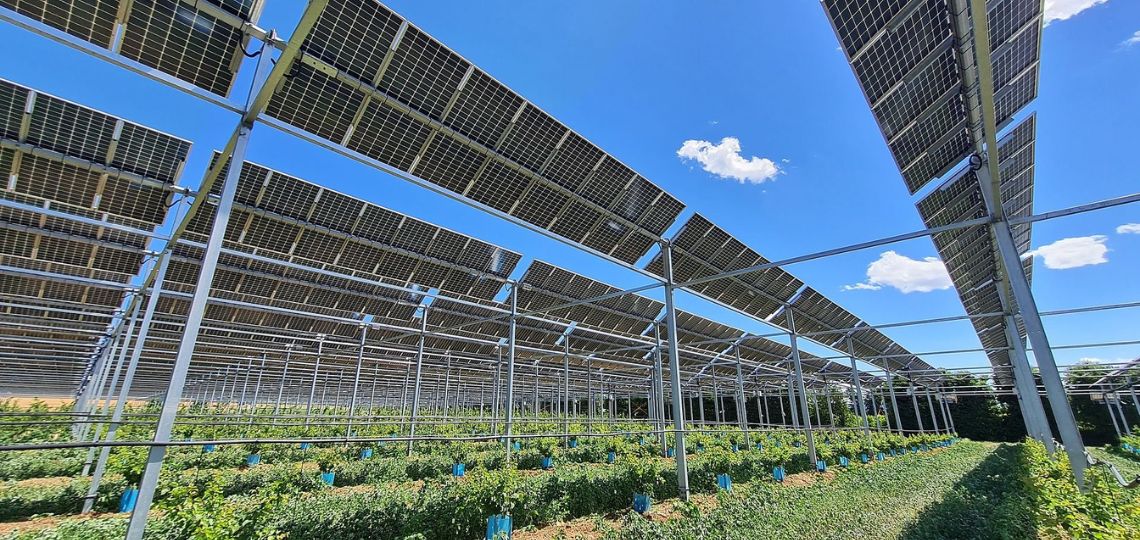 PÜSPÖK lance une offensive photovoltaïque : 400 MW d’ici 2026