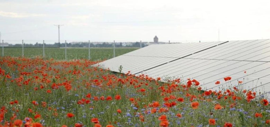 RWE lance une Centrale solaire de 8,5 MW en Pologne