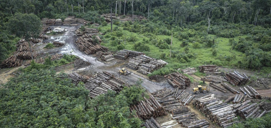 Five emerging countries dominate the voluntary carbon credits market