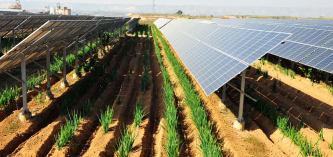 Enfinity Global obtient 190 M€ pour développer 157 MW de solaire en Italie