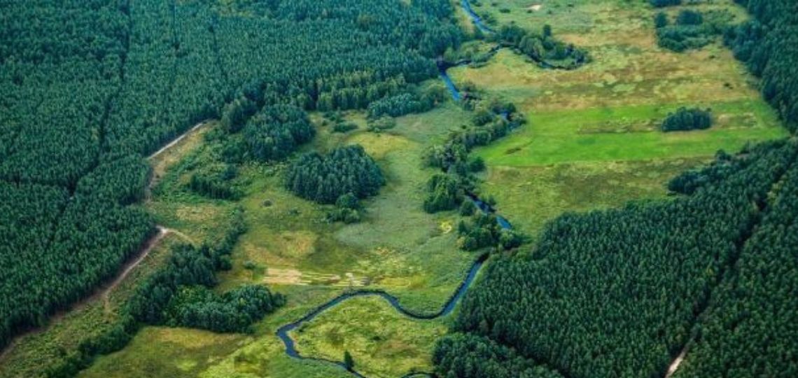 Rising carbon prices in regulated markets, vagueness on voluntary markets