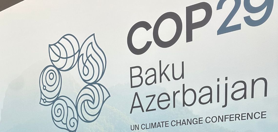 COP29 : Le financement public des pays riches au centre des négociations climatiques