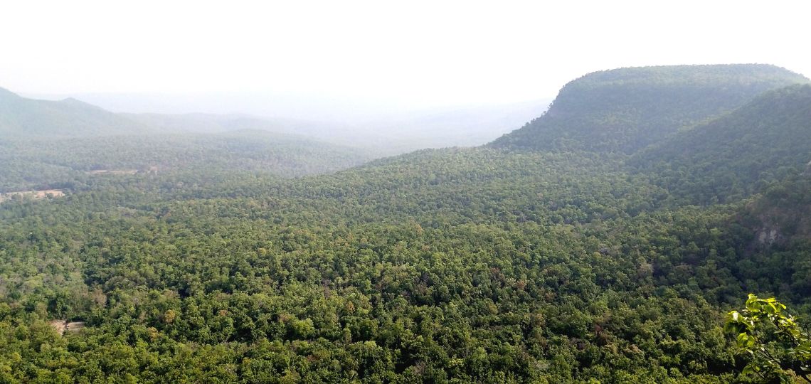 NextGen Purchases Carbon Credits from Alt Carbon in India