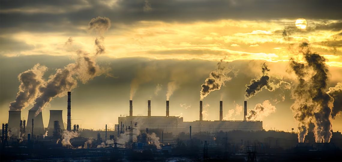 Carbon credits at the center of discussions: the UN imposes new standards at COP29