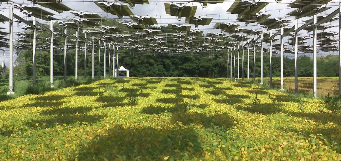 Conflict Over Agrivoltaics in Corrèze: Controversial Accusations Lead to Complaint