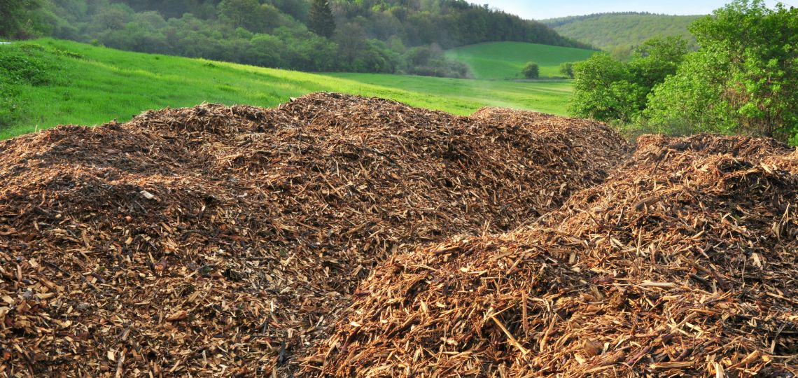 Major Oil Companies Bet on Biofuels: 43 Projects Announced by 2030