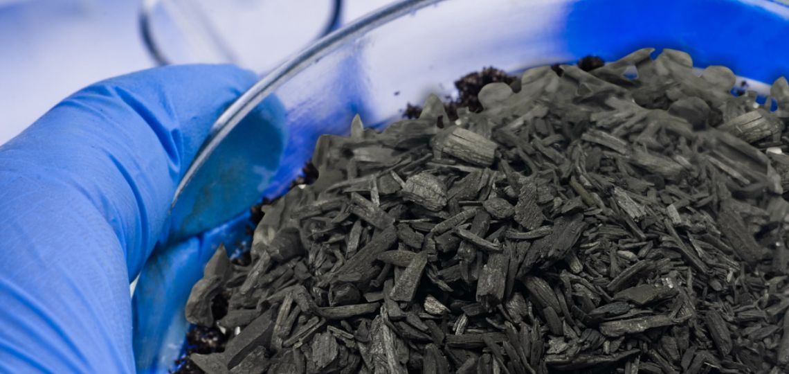 Singapore: Bluefield Revolutionizes Decarbonization with Biochar and Carbon Credits