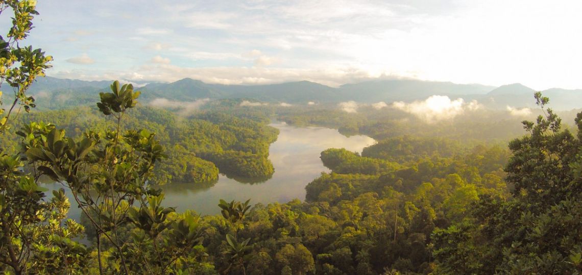 COP29 : Le futur des marchés carbone sous l’Article 6 entre espoir et défis