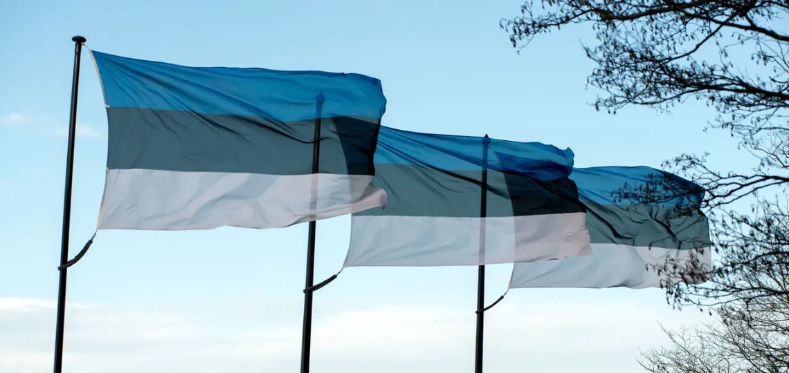 Estonia Strengthens Security for Its Electric Network After Incident in the Baltic Sea