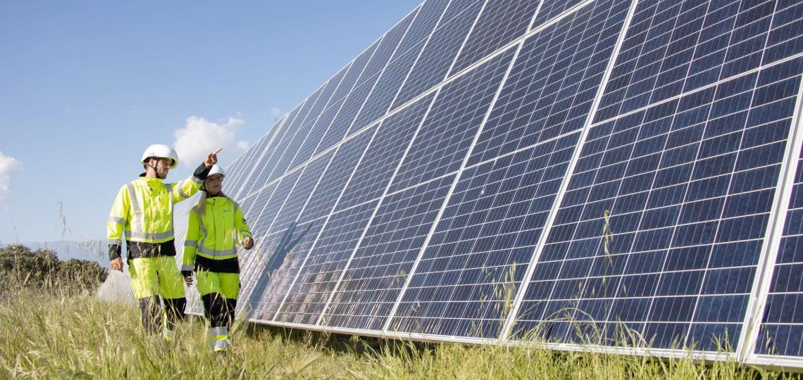 Les dix leaders mondiaux des panneaux solaires résistent à la pression des prix en 2024