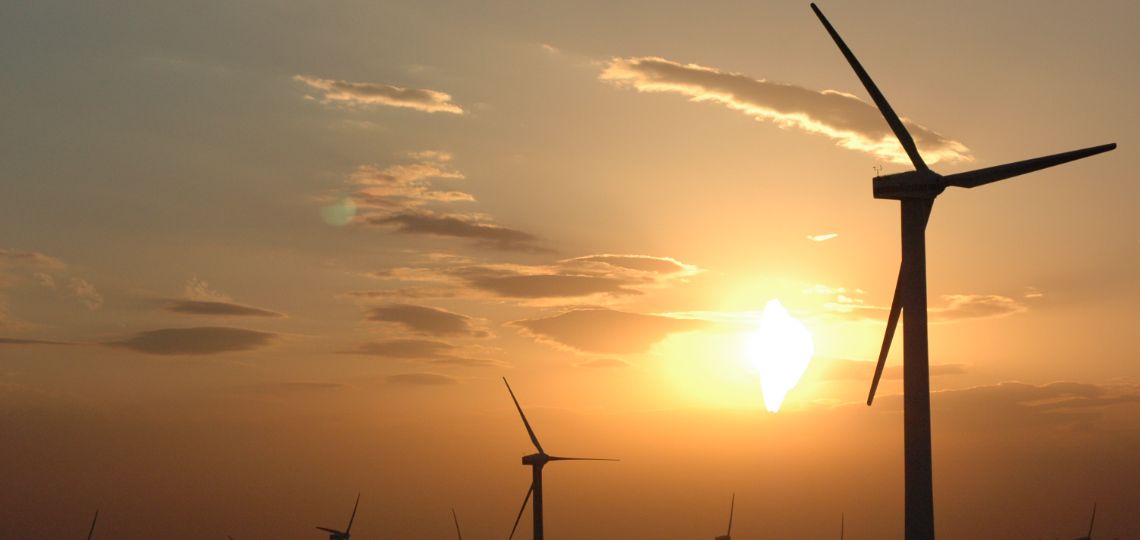 Wind energy stocks plunge after Trump signs moratorium