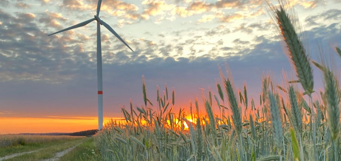 Qualitas Energy confirme l’acquisition de 250 MW éoliens en Allemagne