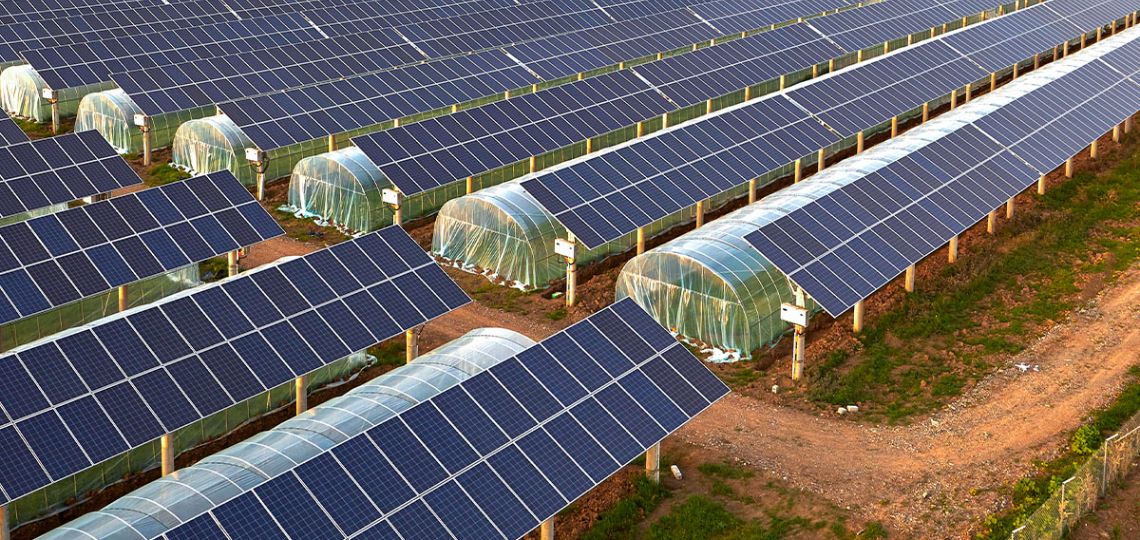 France: The Renewable Energy Syndicate warns of a threat to agrivoltaics