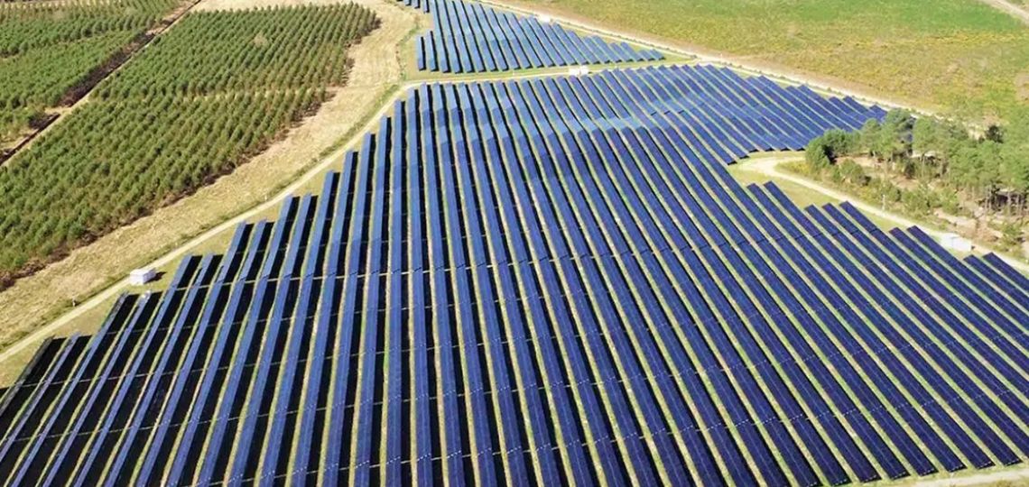 Neoen maintient ses objectifs 2025 malgré un plongeon de 87% de son bénéfice net en 2024