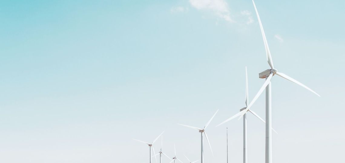 EDF Renouvelables face à la justice pour la mortalité d’oiseaux protégés