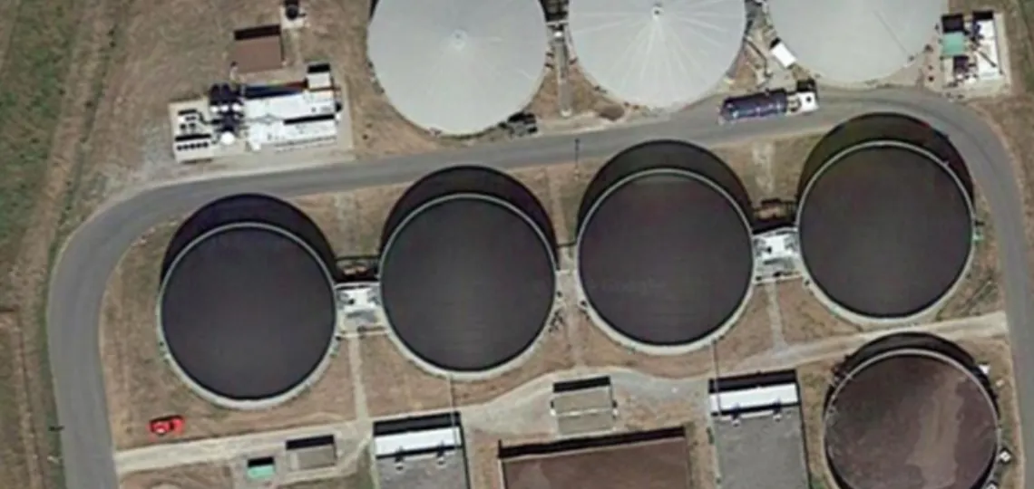 Le marché volontaire du carbone attire 3 milliards dans la biomasse industrielle