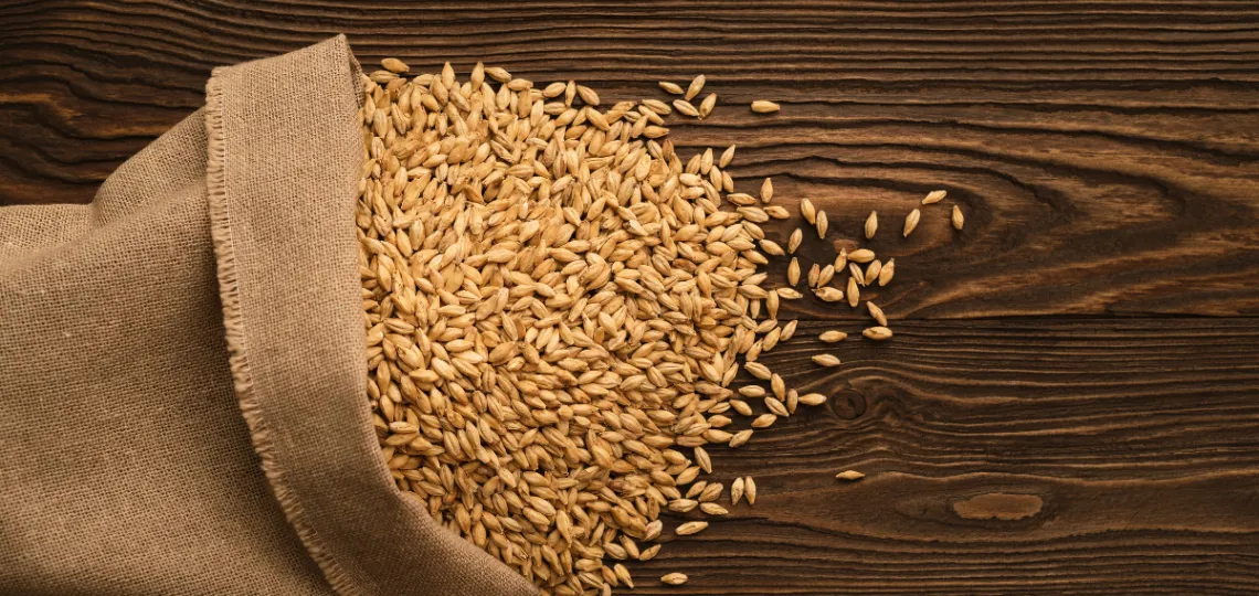 Thermal Energy lance un projet de récupération thermique à 1,4 M$